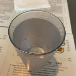 The dead fly in my water