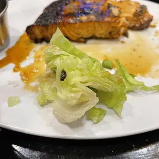 Grilled Fly in our Grilled Samon so disgusting