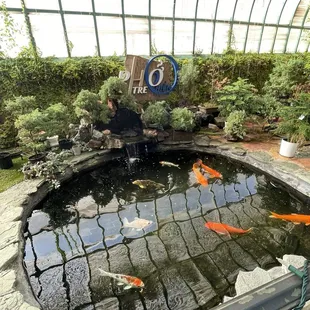 ramen and noodles, outside