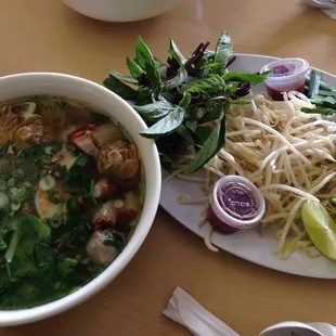 Wonton Soup