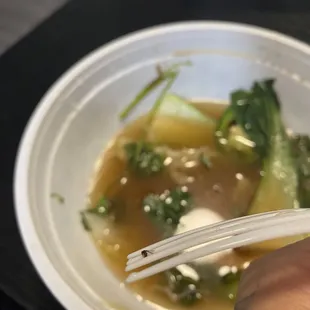 Bug in pho broth