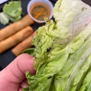Dirty uncleaned lettuce