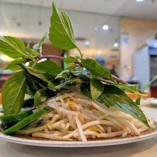 ramen and noodles, food