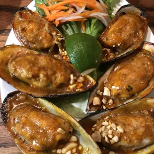 food, oysters, oysters and mussels, shellfish, mussels