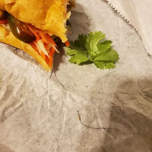 Banh Mi with a hair inside