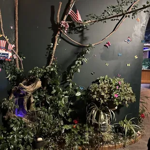 a display of plants