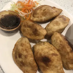 Pan Fried Dumplings