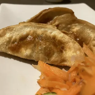 Gyoza