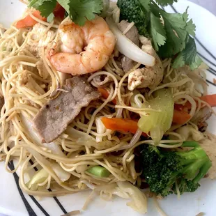 Combination "lo mein"  which was basically vermicelli stir fry. And the noodles were a bit under cooked.