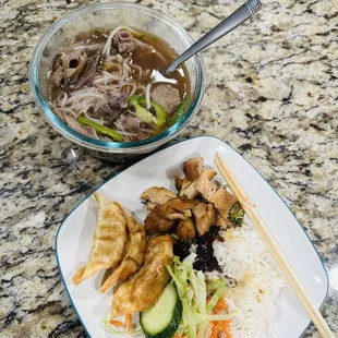 Take-out: Combination beef pho and a bbq chicken rice plate with gyoza  (half portions depicted here)