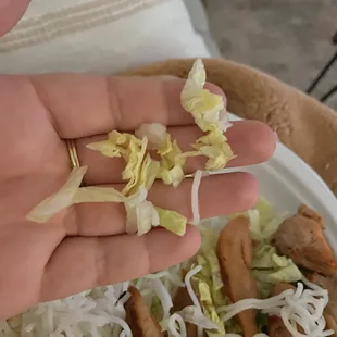 a person holding a plate of food