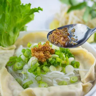 Chicken dumpling noodle soup