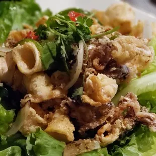 Fried Calamari