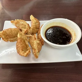 Fried dumplings appetizer