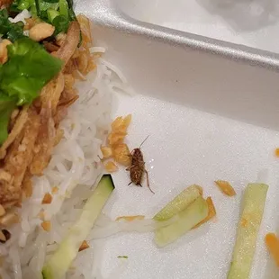 COCK ROACH!!!!!