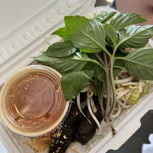 511. Grilled Beef on Grape Leaves