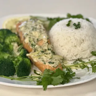 Salmon sauce cream