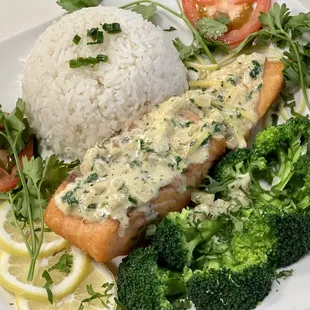 Salmon sauce cream