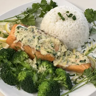 Salmon sauce cream