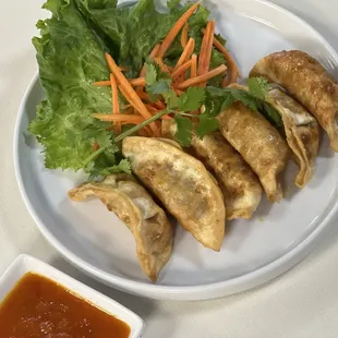 Fried pork dumpling