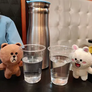 Disposable water glasses