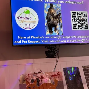 Phoebe supports pet rescue
