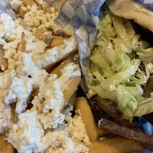 Greek fries and gyro pita wrap