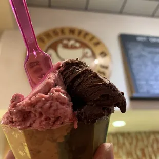 raspberry &amp; dark chocolate gelato