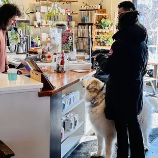two people and a dog