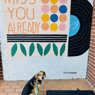 Adorable mural outside!