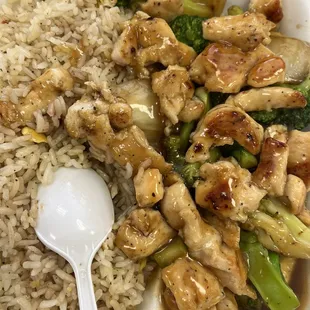 Chicken Teriyaki Lunch Special