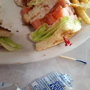 Turkey club was really good !