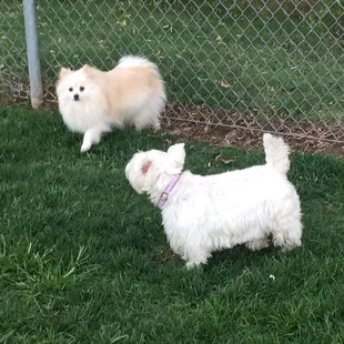 Having fun