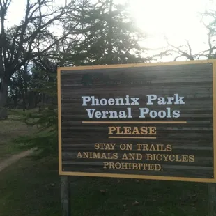 Vernal Pools