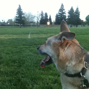 Photo shoot on the soccer field