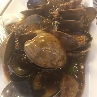 Manila Clam