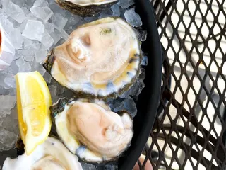 The Oyster Bar