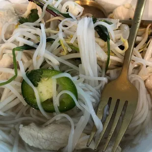 Take Out Pho Ga (Chicken)