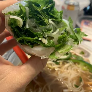 Spring rolls - filled with mostly lettuce. Don't recommend