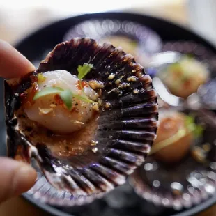 Peruvian Scallop Crudo