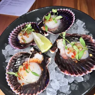 Peruvian Scallop Crudo
