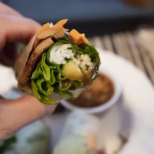 Delicious spring rolls