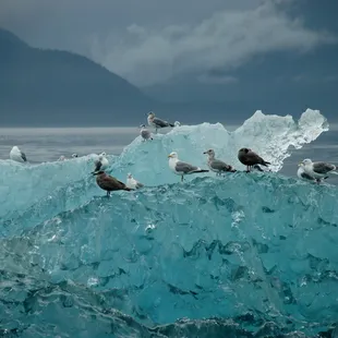 Photographer: Margarita Patchen