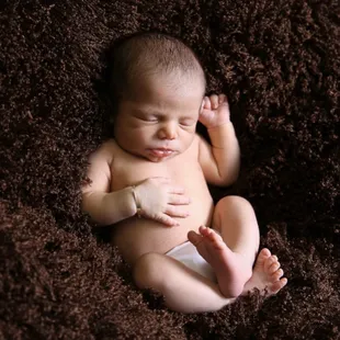 Newborn photographer