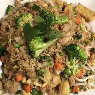 Vegetable fried rice