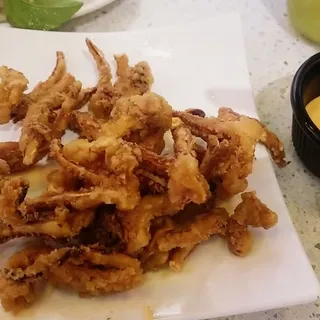 Fried Calamari