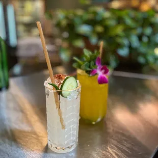 Coffin maker and mai tai
