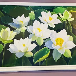 Beautiful water lily painting