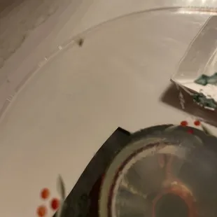Bug in drink
