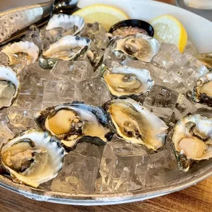 Large oyster appetizer